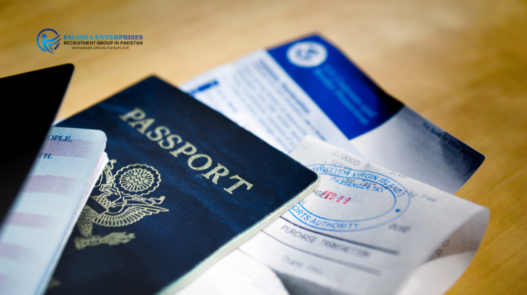 Saudi work visa types in 2024